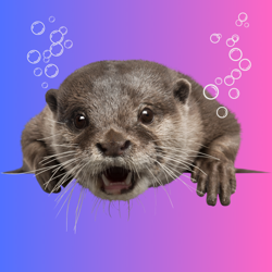 Community icon