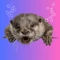 Community icon