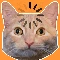 Community icon