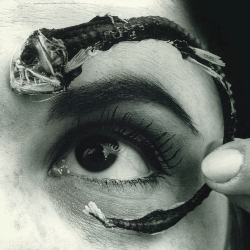 mrbungle