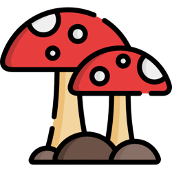 Community icon