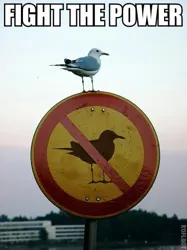Community icon