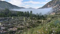trailviews