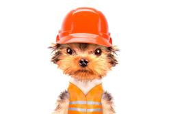 Community icon
