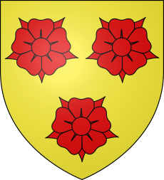 Community icon