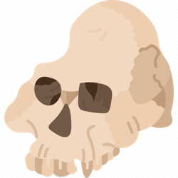 Community icon