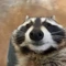 Community icon
