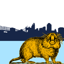 Community icon