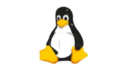 Community icon