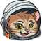 Community icon