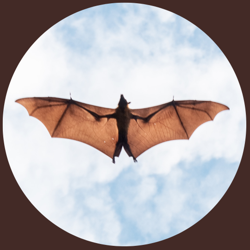 Community icon