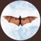 Community icon