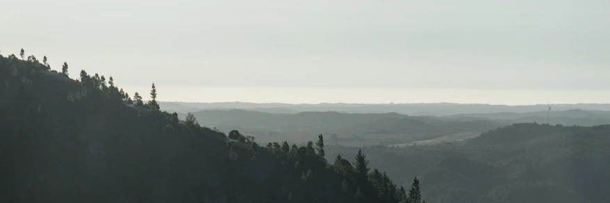 User banner