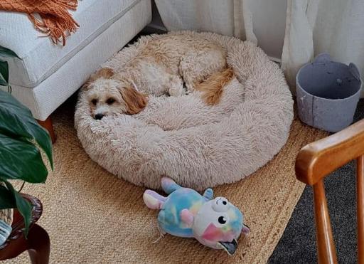 She blends in