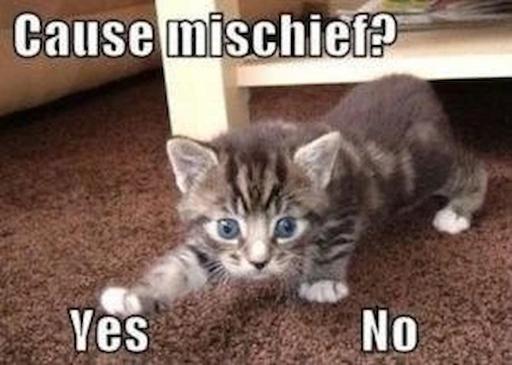 To cause or not to cause