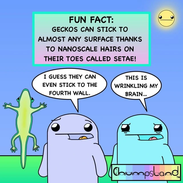 Geckos [ChumpsLand] 