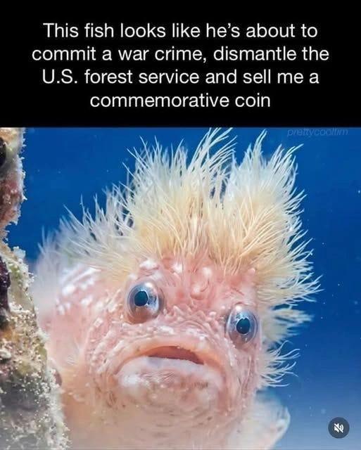 I knew this all seemed a bit fishy