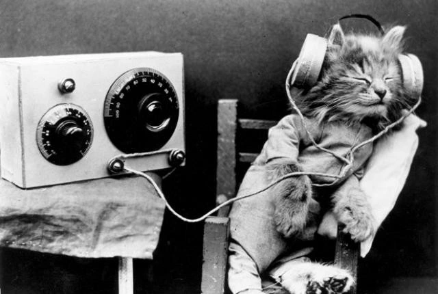 Kitten with radio headphones, UK?, 1926