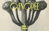 Canopée Typeface - New Styles - Violaine & Jeremy