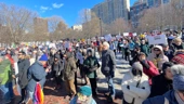 Dozens Of Organizations Hold 'Stop The Coup' Rally In Downtown Boston | WBZ NewsRadio 1030