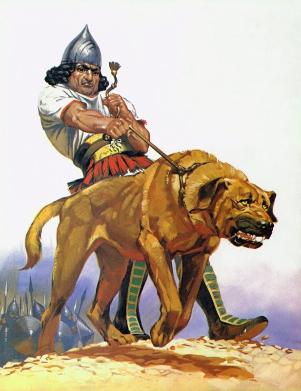 Assyrian wardog and handler (Angus McBride)