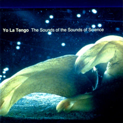 Yo La Tengo - The Sounds of the Sounds of Science (2002)