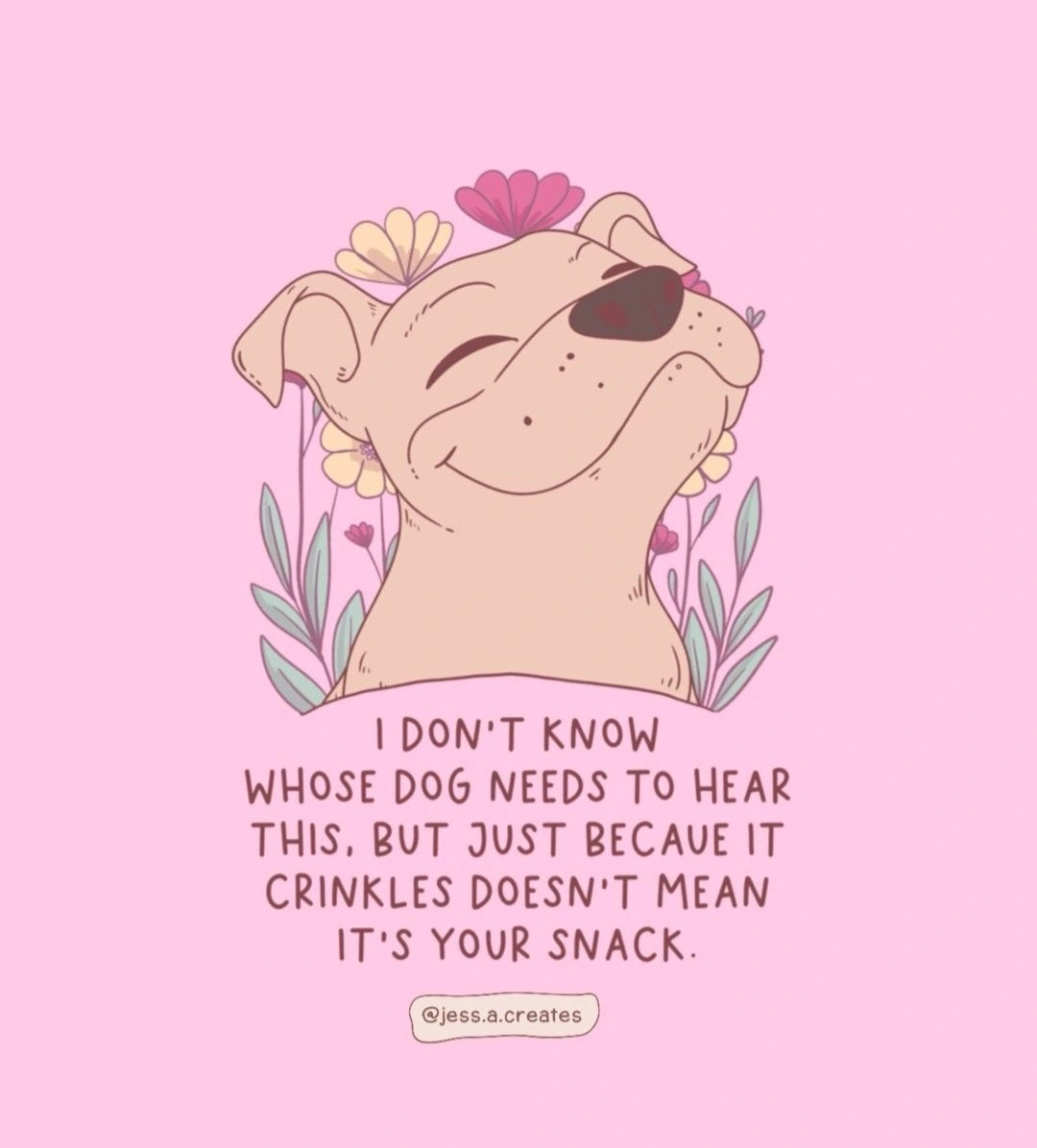 If only they'd learn