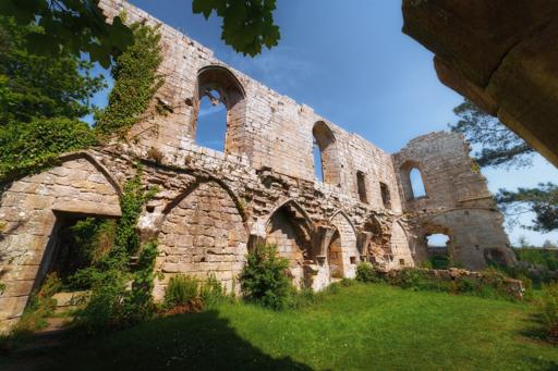 A bright, sunlit section of the ruins at Jervaulx Abbey, highlighting a tall, crumbling stone wall with large, arched window openings that once held stained glass. Ivy climbs parts of the weathered masonry, adding vibrant green contrast to the warm beige stone. The lower part of the wall features a series of smaller, pointed arches, some partially collapsed or filled in with rubble and plants. The foreground is a lush green lawn dotted with small white flowers, and the scene is framed by leafy tree branches overhead, casting some shadow. The vivid blue sky above emphasises the historic grandeur and peacefulness of this open-air architectural relic.