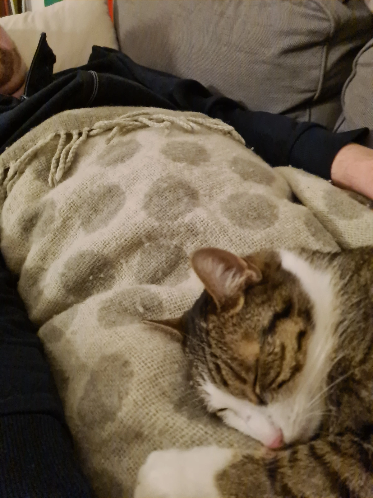 I'm stuck