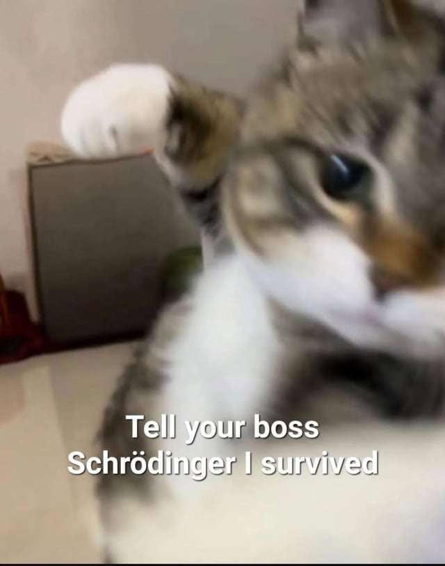 the background blur