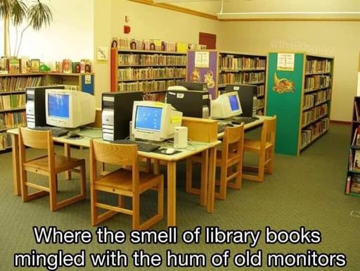 A picture of a library with four PCs with the old thick, grey monitors are setup.
Caption: Where the smell of library books mingled with the hum of old monitors 