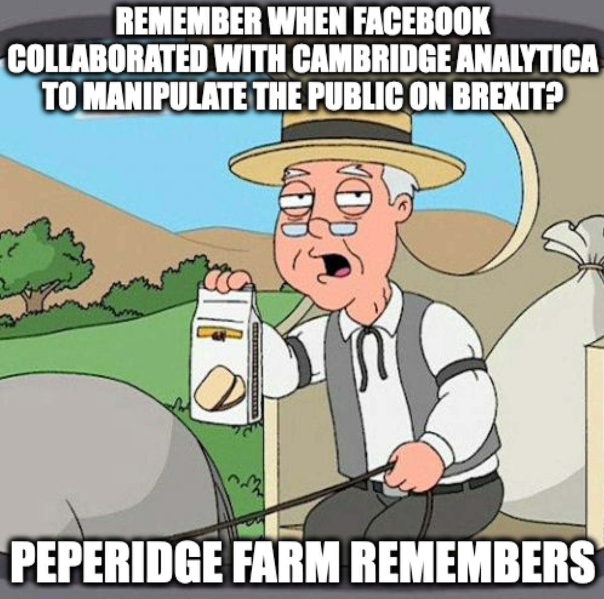 Remember when Facebook collaborated with Cambridge Analytica on manipulating the public on Brexit? Pepperidge Farm Remembers.