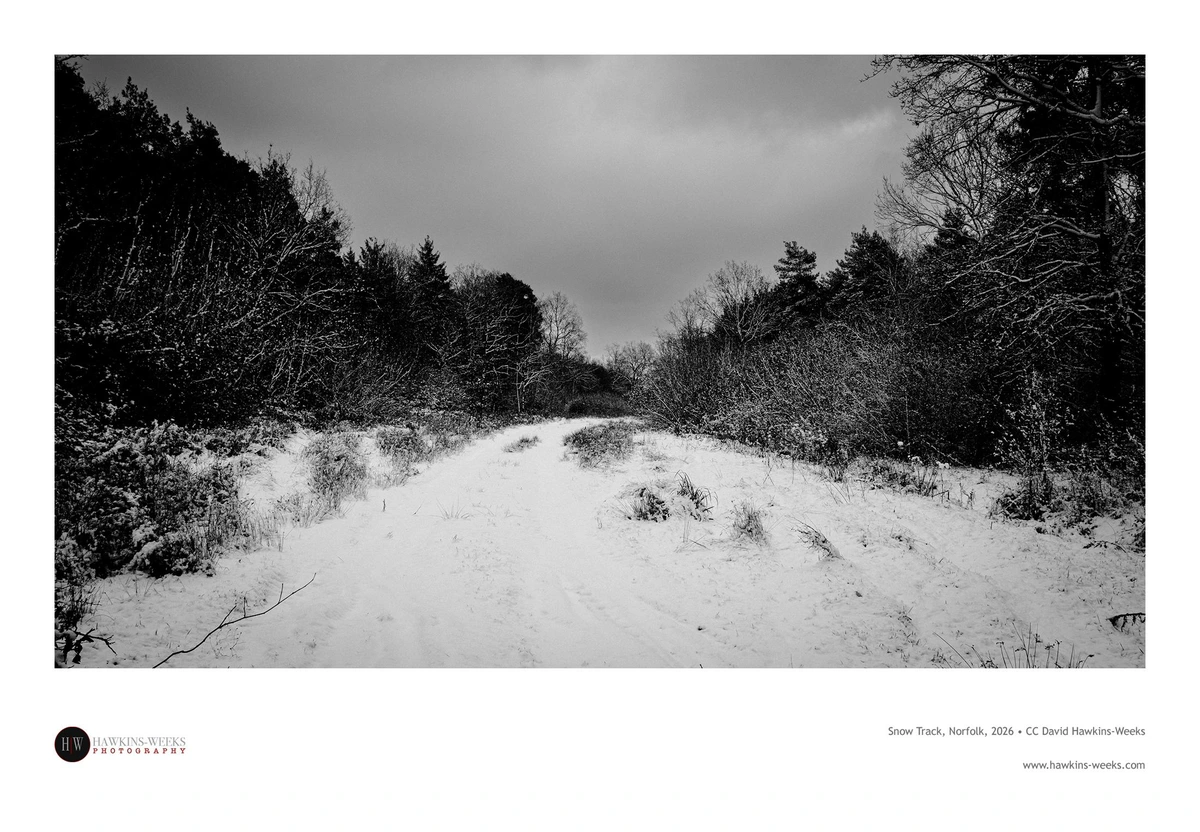 Black and white landscape photo of a snow-covered track leading away to trees and bushes along the side and in the background with a dusting of snow on the branches and set against a dark, cloudy sky