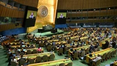 UN assembly votes overwhelmingly to back two-state solution to Israel-Palestinian conflict
