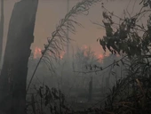 The Amazon is suffocating thanks to the BR-319 highway