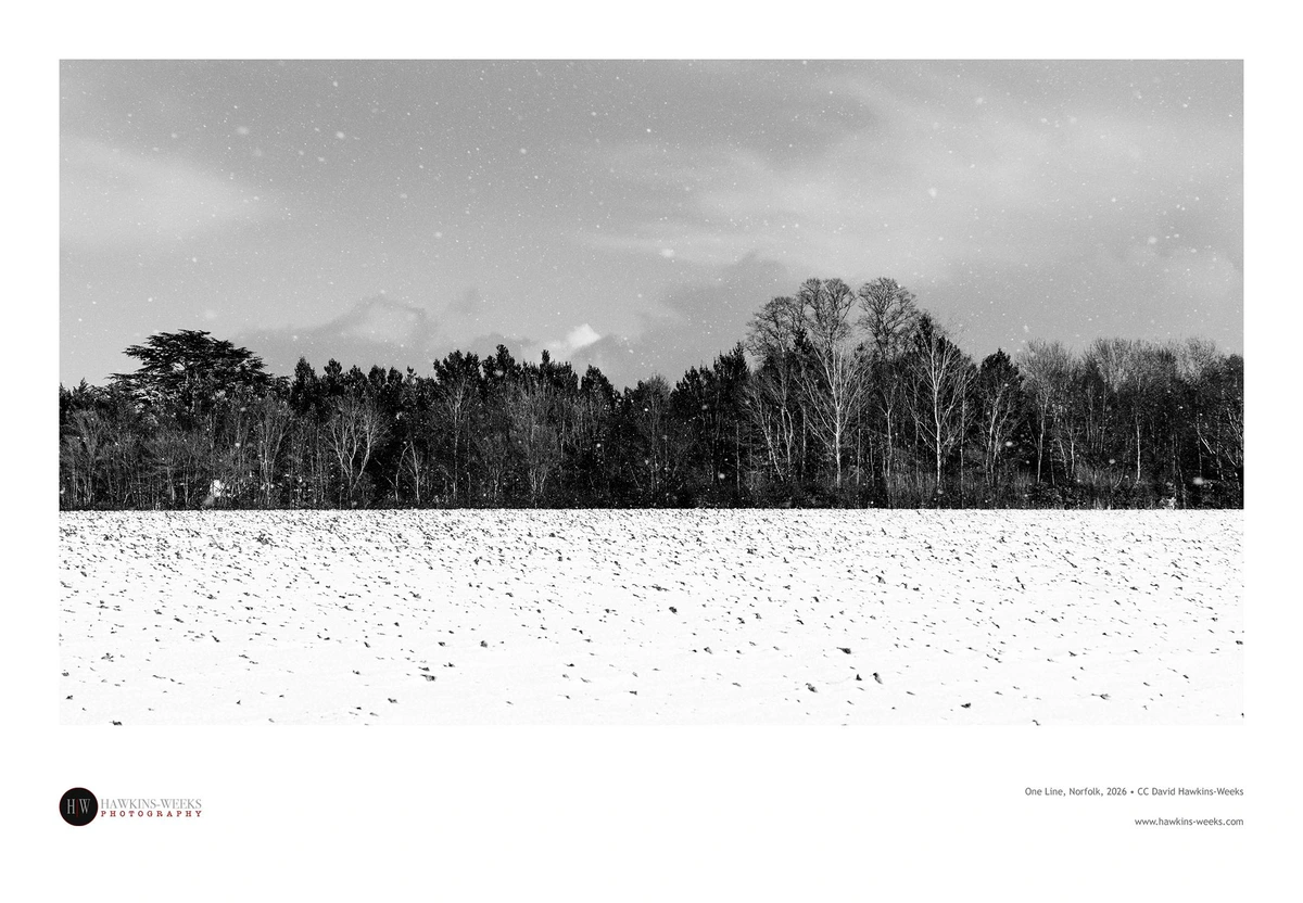 Black and white photo of a horizontal line of trees with a snow-covered field in the foreground and set against a slightly cloudy sky with light snow falling