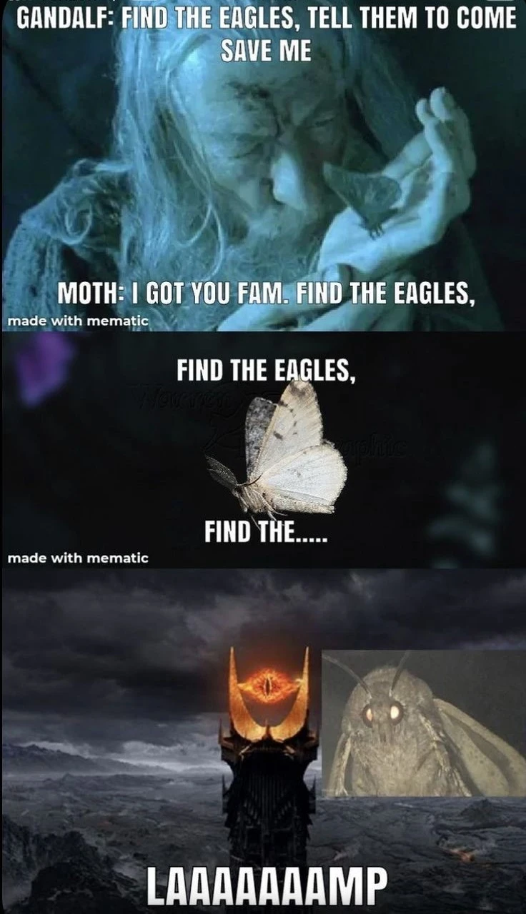 Who do you serve? "Låmp"