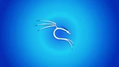 Kali Linux 2025.2 released with 13 new tools, car hacking updates