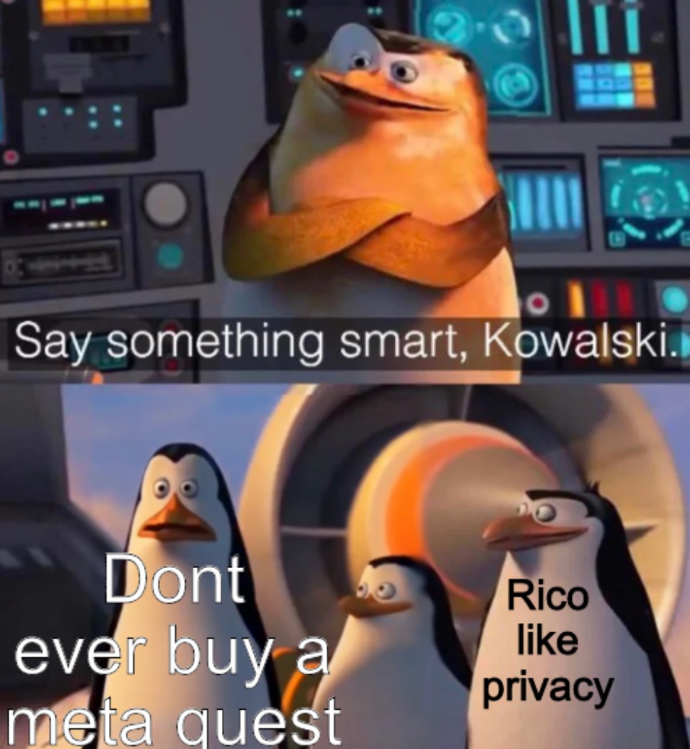 Say something smart Kowalski "Don't ever buy a meta quest" Rico beside him "Rico Like Privacy"