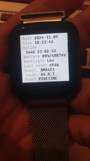 I got the secret Light Theme for the PineTime!