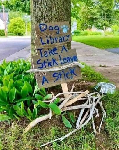 A picture of a tree with a makeshift sign leaning against it saying, "Dog library, Take a stick leave a stick." Beneath is a pile of sticks and a water bowl.