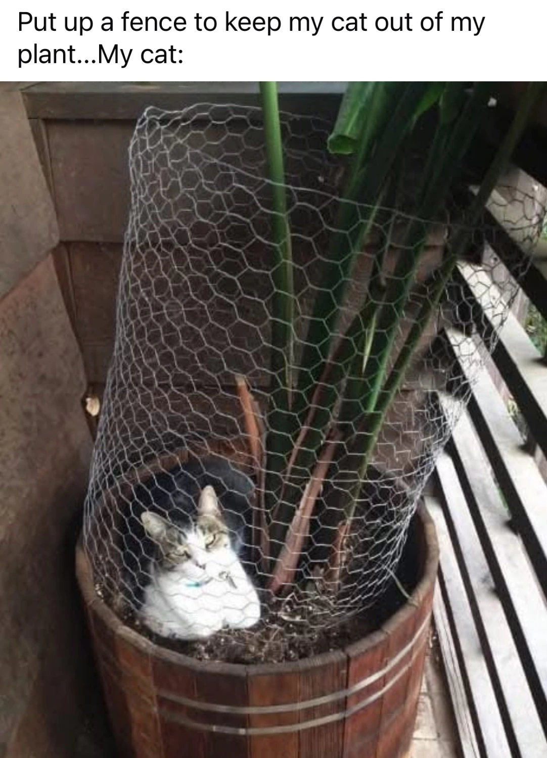 You can't keep me out, Sandra