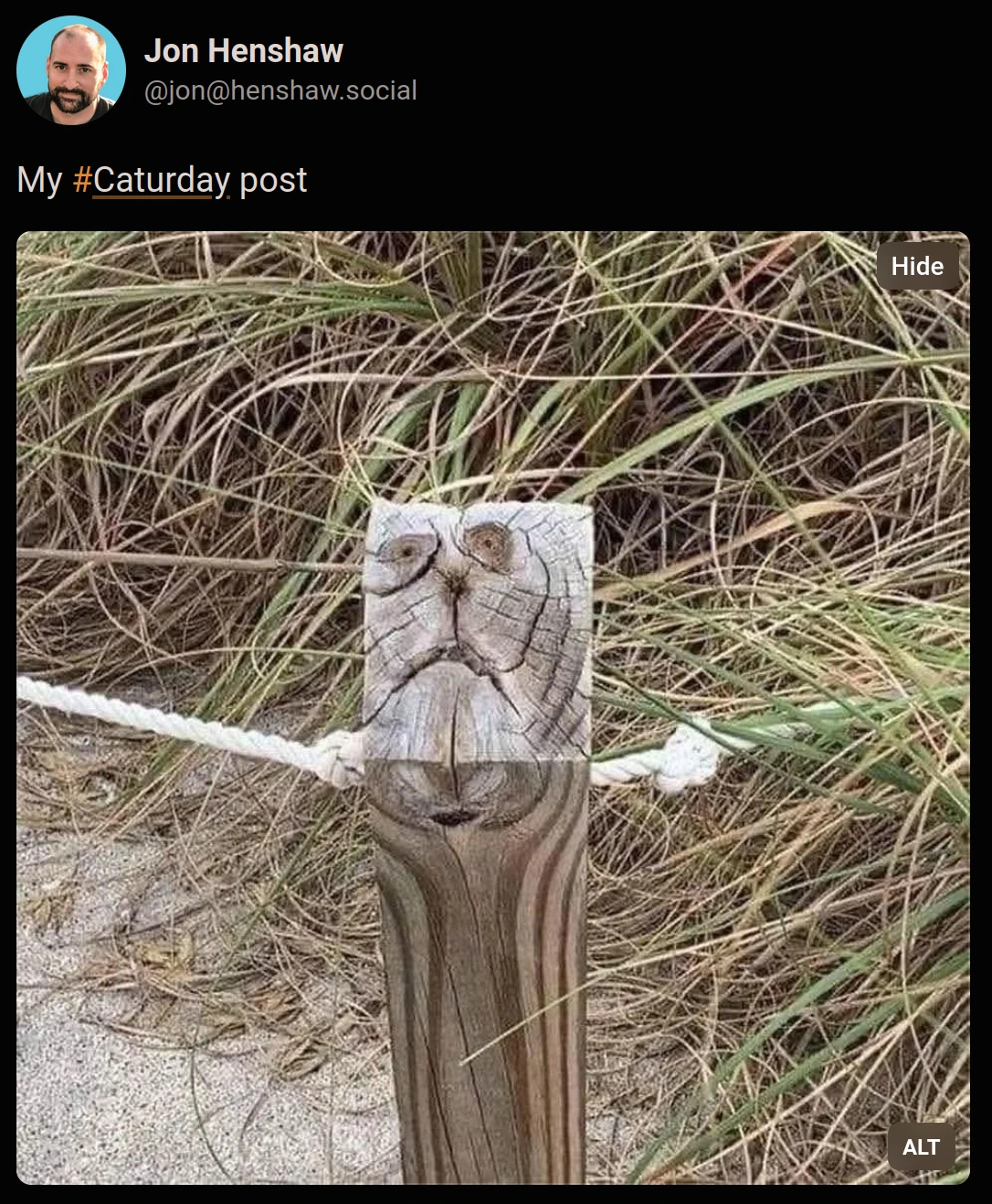 A picture of a wooden post, whose whorls in the wood resemble a cat.