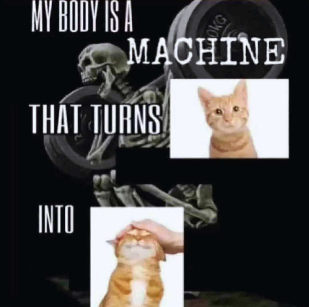 me😸irl