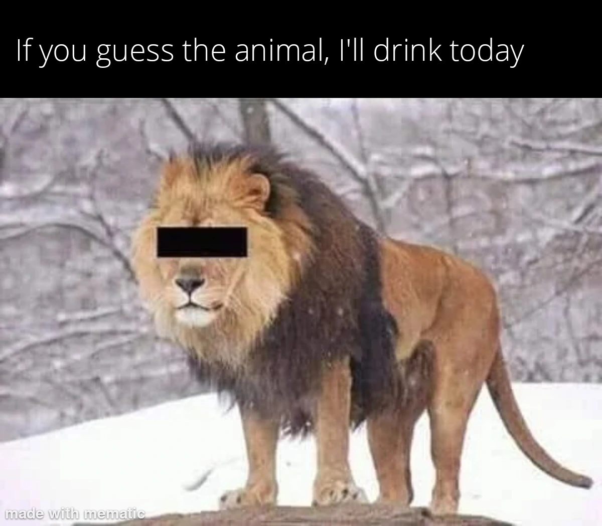 Nevermind the drink I'm holding