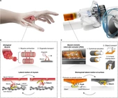 Soft and flexible robot skin actuator using multilayer 3D pneumatic network - Nature Communications