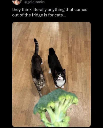 ... for ME?!