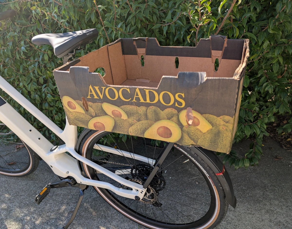 Cardboard box mounted to the rear rack of a parked bicycle. Text on the box reads, "Avocados".