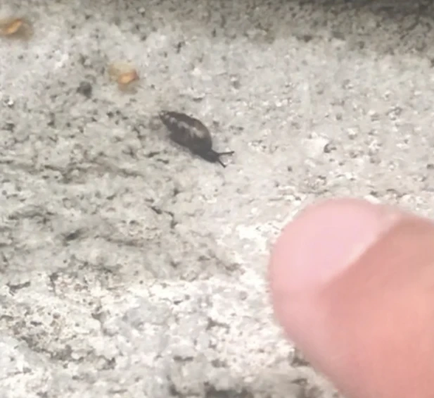 Itty bitty (my finger for scale)