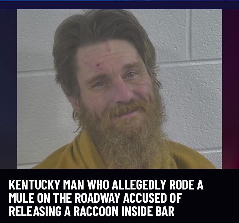 I don't think he's sorry